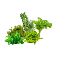 Herbs & Leaves
