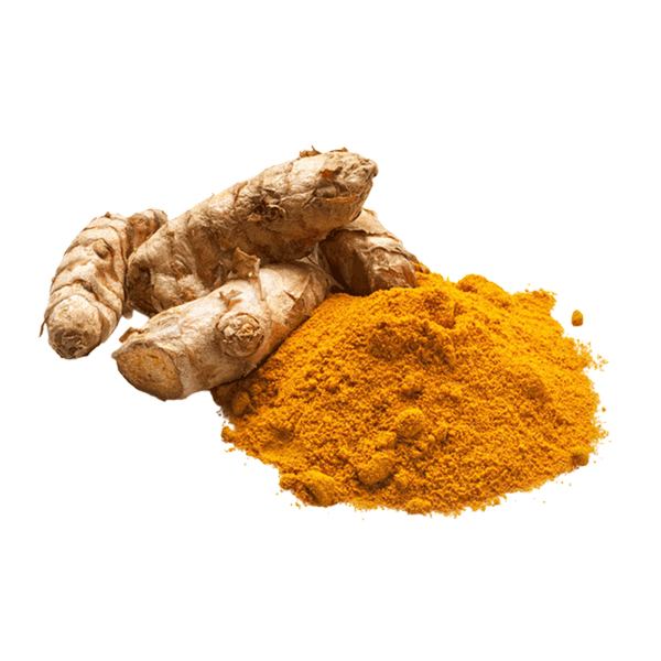 Carousel Main Image 2