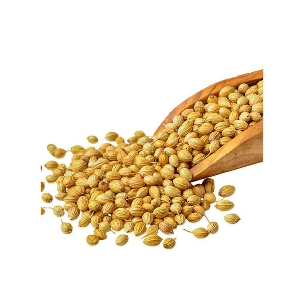 Carousel Main Image 2