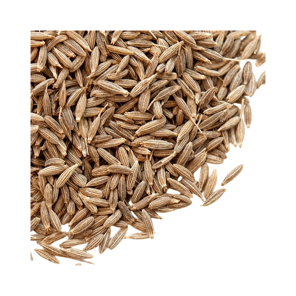 Carousel Main Image 2