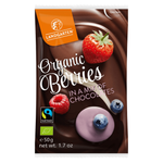Landgarten Organic Berry & Chocolate Mix
