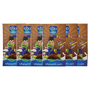 Nadec UHT Chocolate Milk