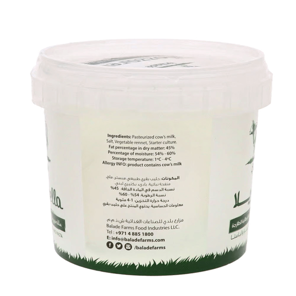 Carousel Main Image 2