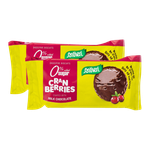 Santiveri Light Cranberry & Milk Chocolate Digestive Biscuit