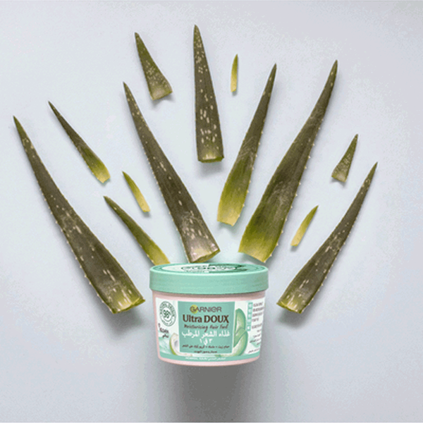 Carousel Main Image 2