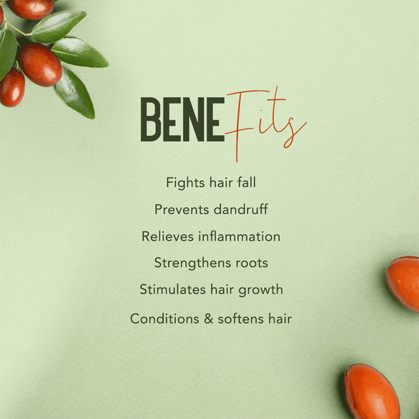 Carousel Main Image 4