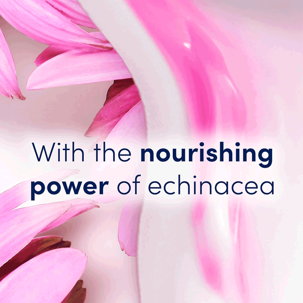 Carousel Main Image 3