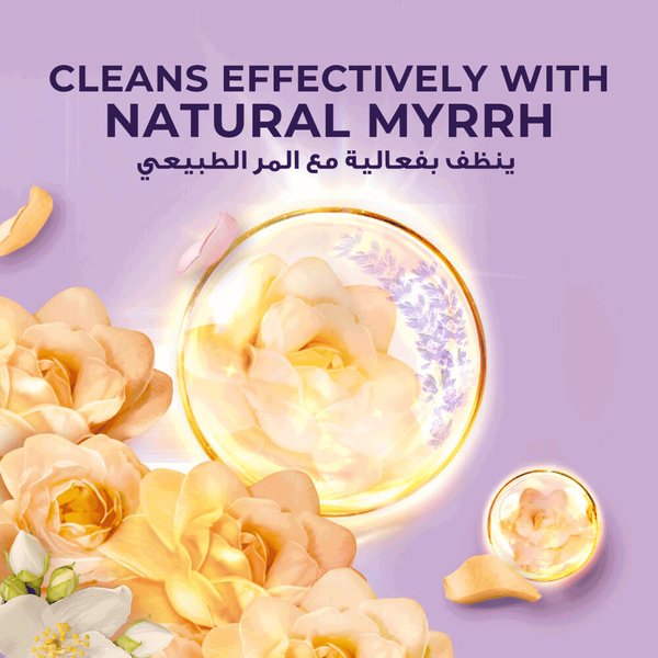 Carousel Main Image 3