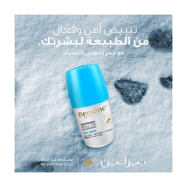 Carousel Main Image 2