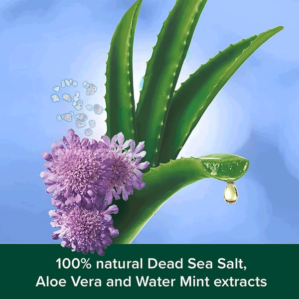 Carousel Main Image 2