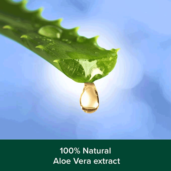 Carousel Main Image 3