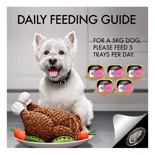 Carousel Main Image 3