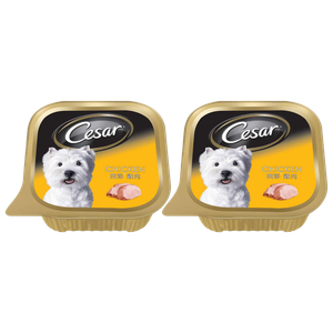 Cesar Chicken Dog Wet Food  