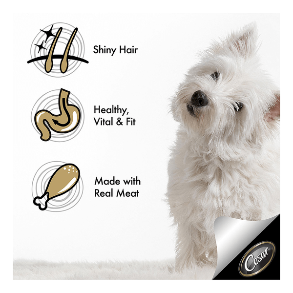 Carousel Main Image 3