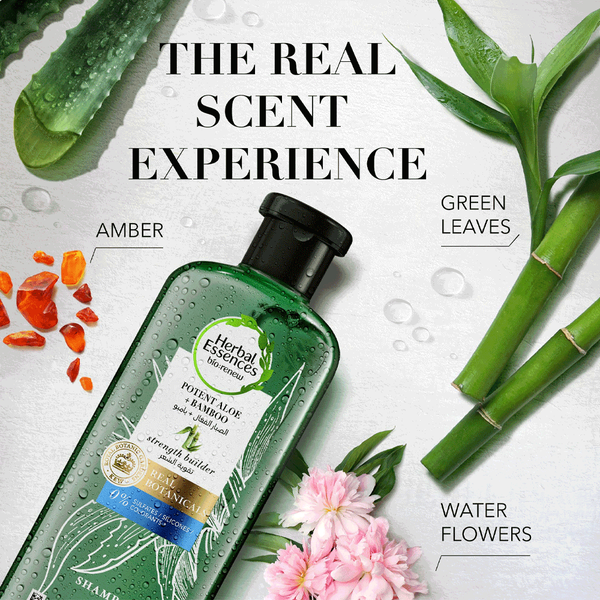 Carousel Main Image 2