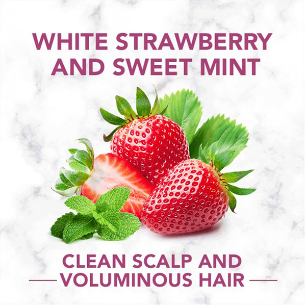 Carousel Main Image 3