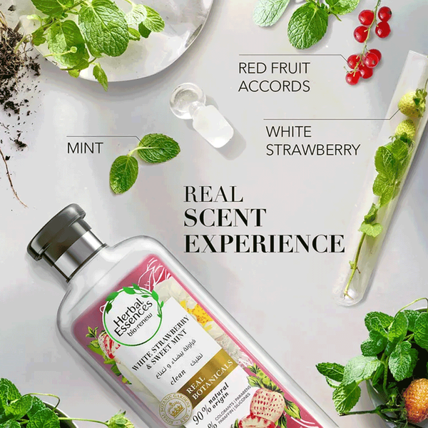 Carousel Main Image 2