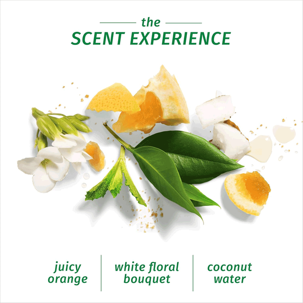 Carousel Main Image 3