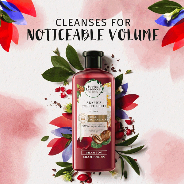 Carousel Main Image 3