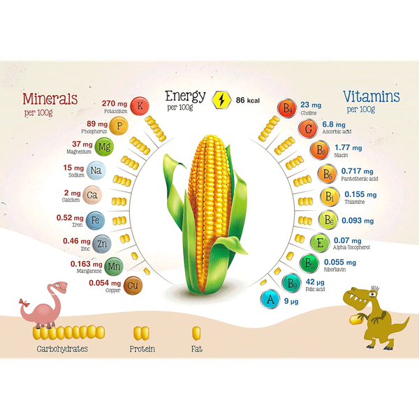 Carousel Main Image 3