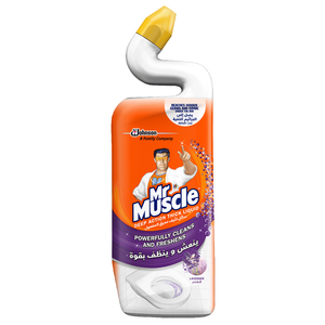 Mr Muscle Deep Action Lavender Toilet Cleaner