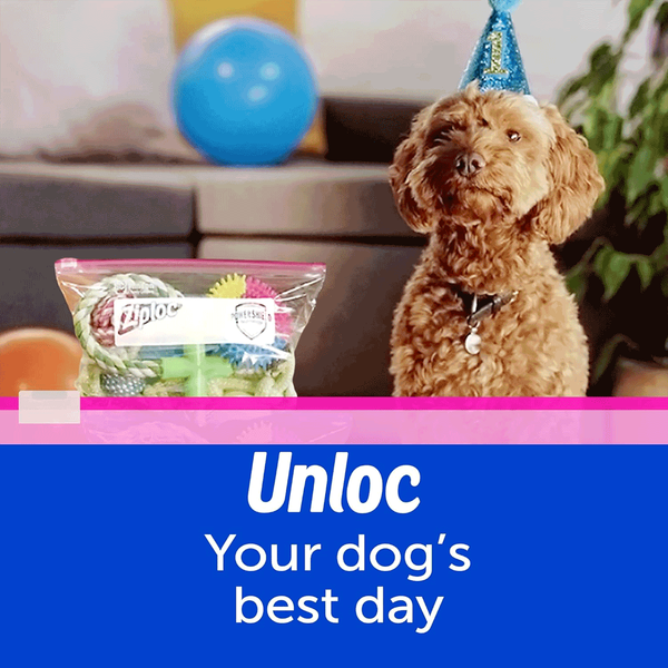 Carousel Main Image 7