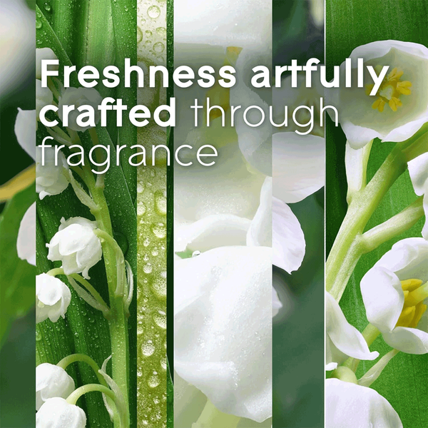 Carousel Main Image 4