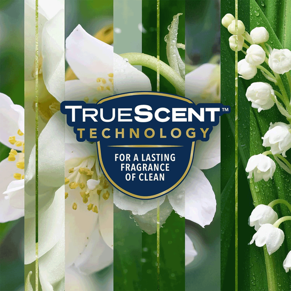 Carousel Main Image 5