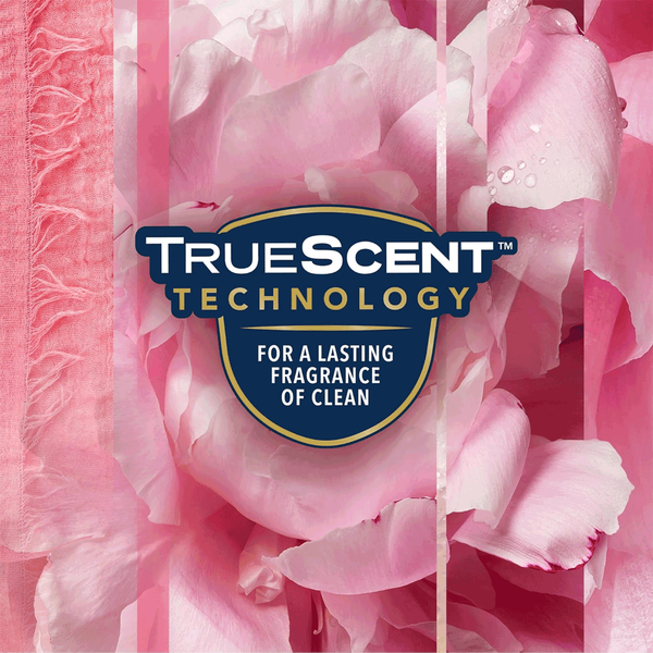 Carousel Main Image 5