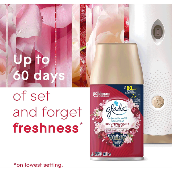 Carousel Main Image 8