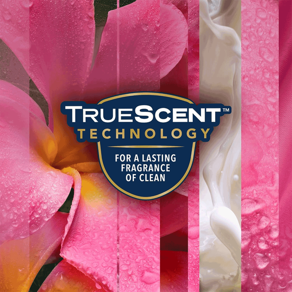 Carousel Main Image 5