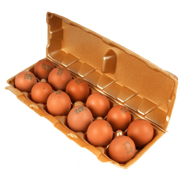 Carousel Main Image 2