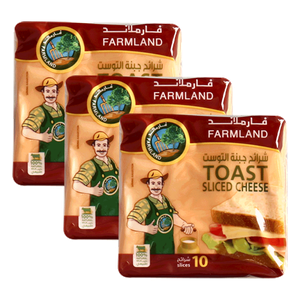 Farmland Toast Cheese Slices
