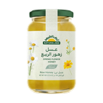 Natureland Spring Flower Honey