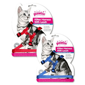 Pawise Kitten Harness