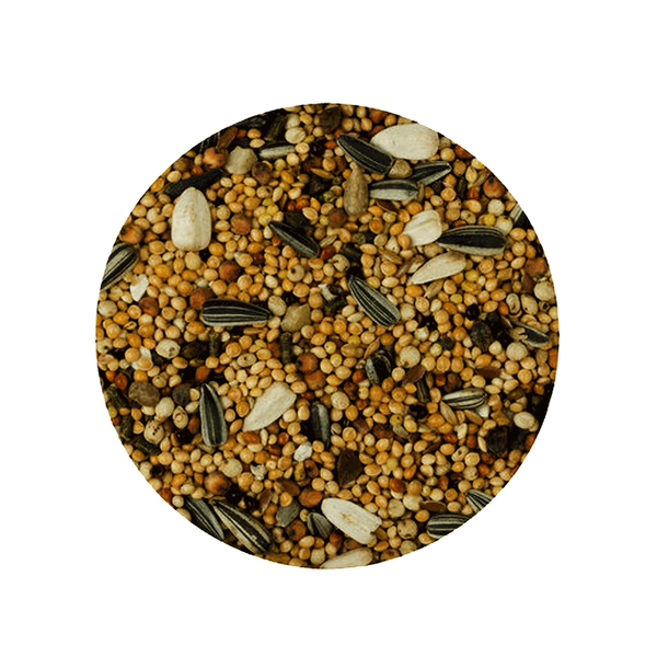 Carousel Main Image 3