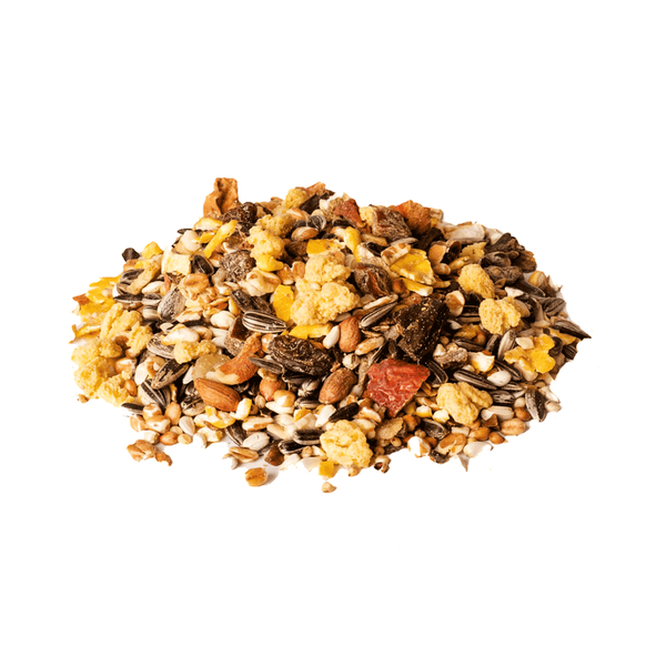 Carousel Main Image 3