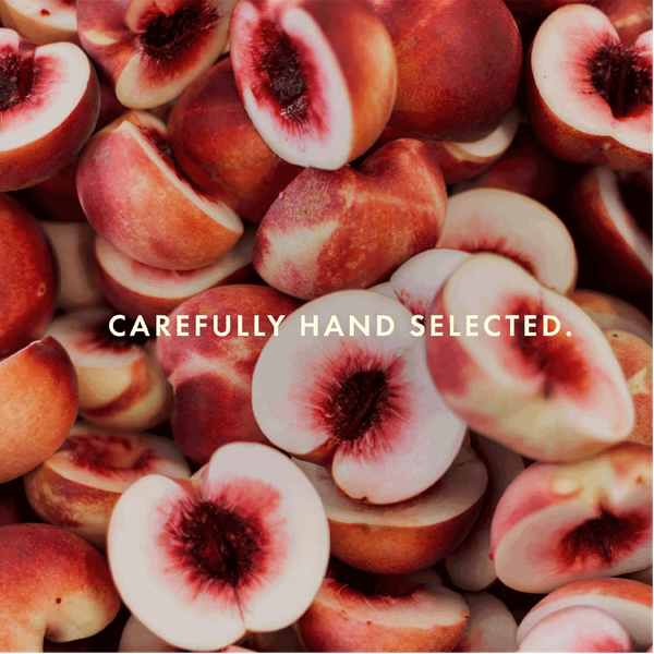 Carousel Main Image 3