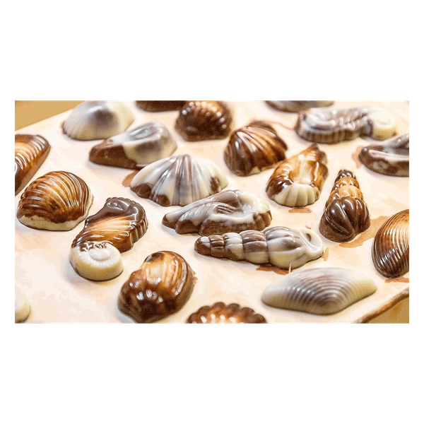 Carousel Main Image 2