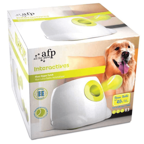 Carousel Main Image 2