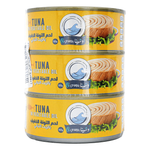 Oceana Light Tuna In Oil