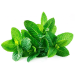 Kuwaiti Green Mint