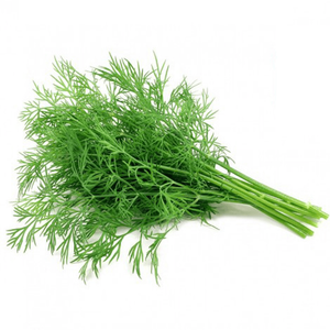 Kuwaiti Dill