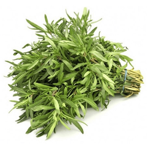 Kuwaiti Thyme