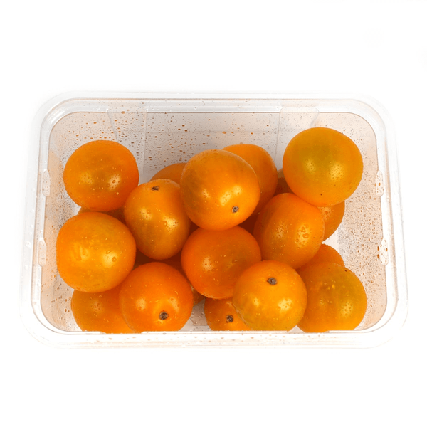 Carousel Main Image 2