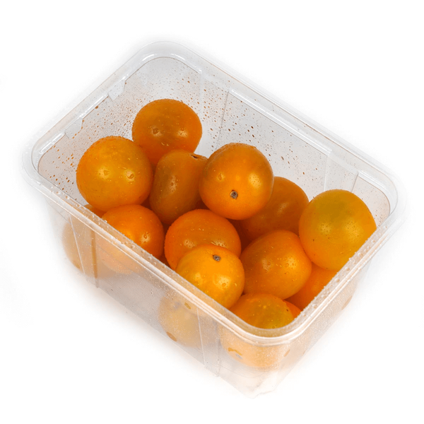 Carousel Main Image 3