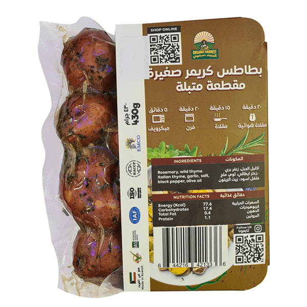 Carousel Main Image 2