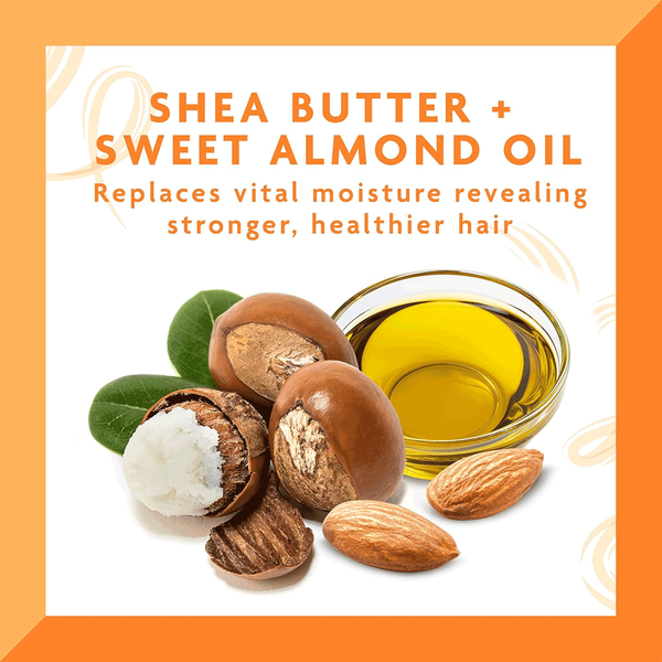 Carousel Main Image 2