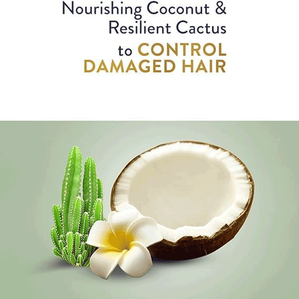 Carousel Main Image 4