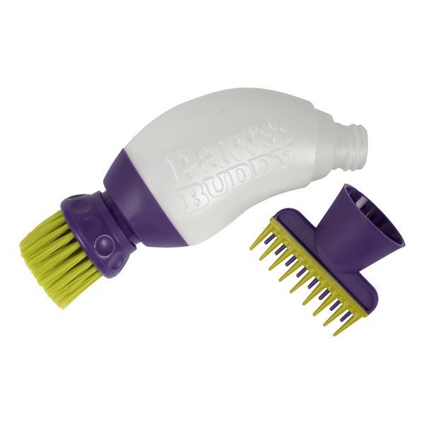 Carousel Main Image 5